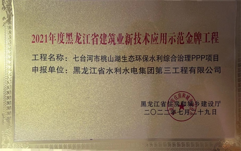 2021年度省建筑業(yè)新技術(shù)應(yīng)用示范金牌工